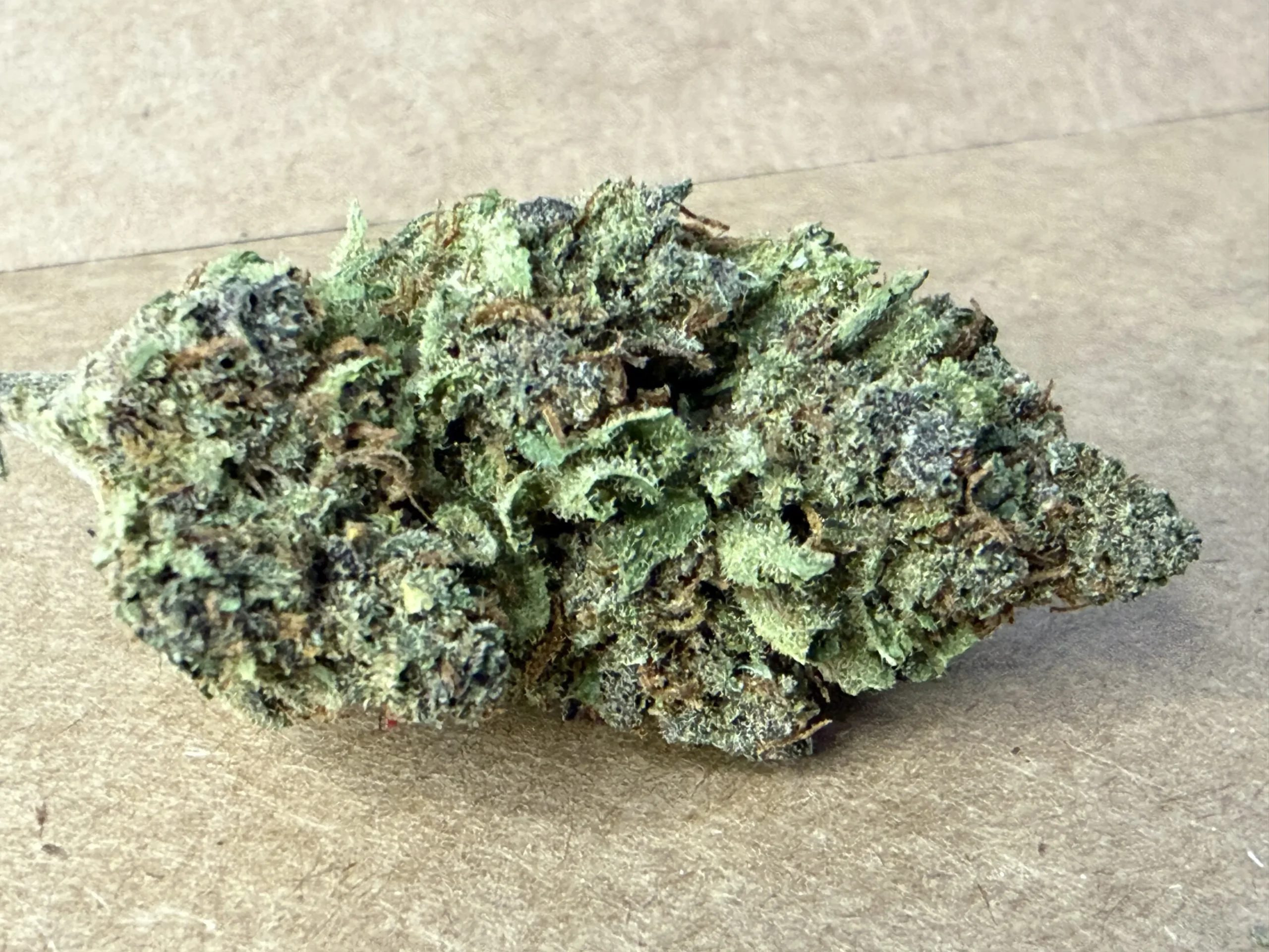 Blue Widow – Image 4