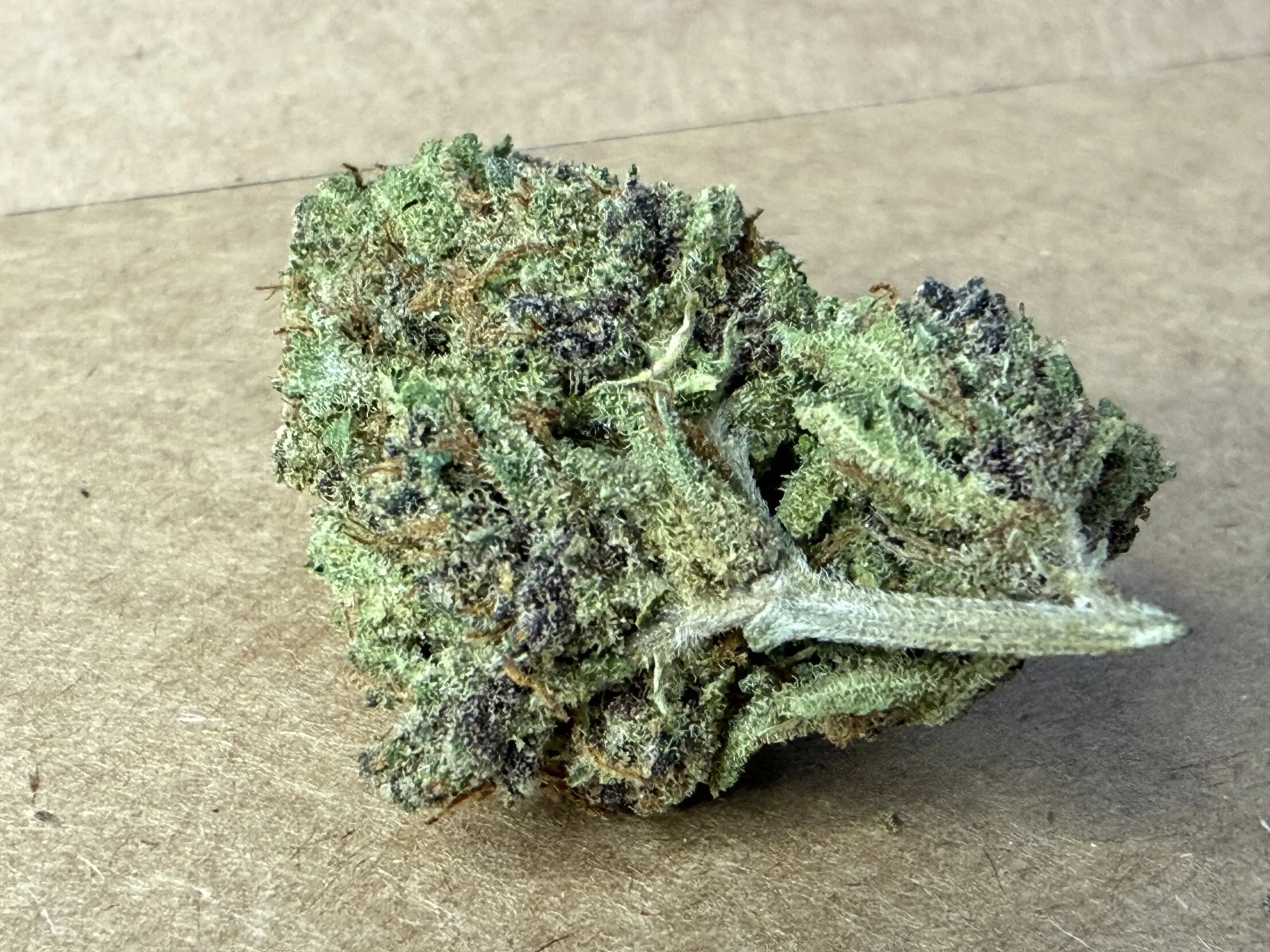 Blue Widow – Image 2