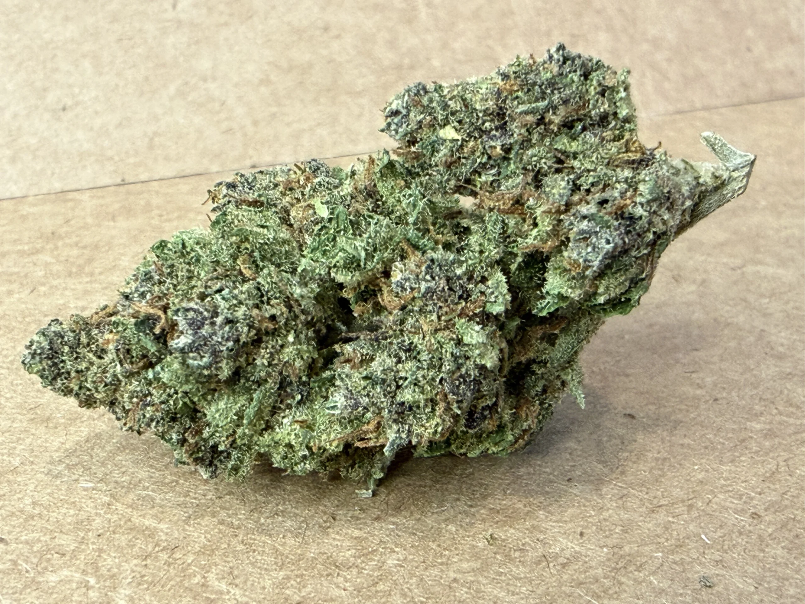 Blue Widow