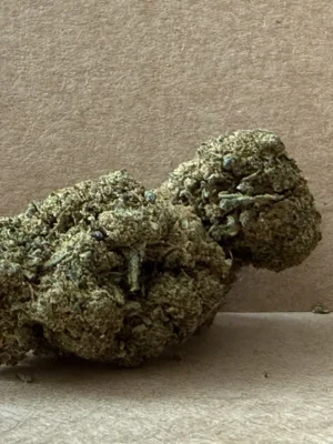 Orange Bud - Fleur Boostée