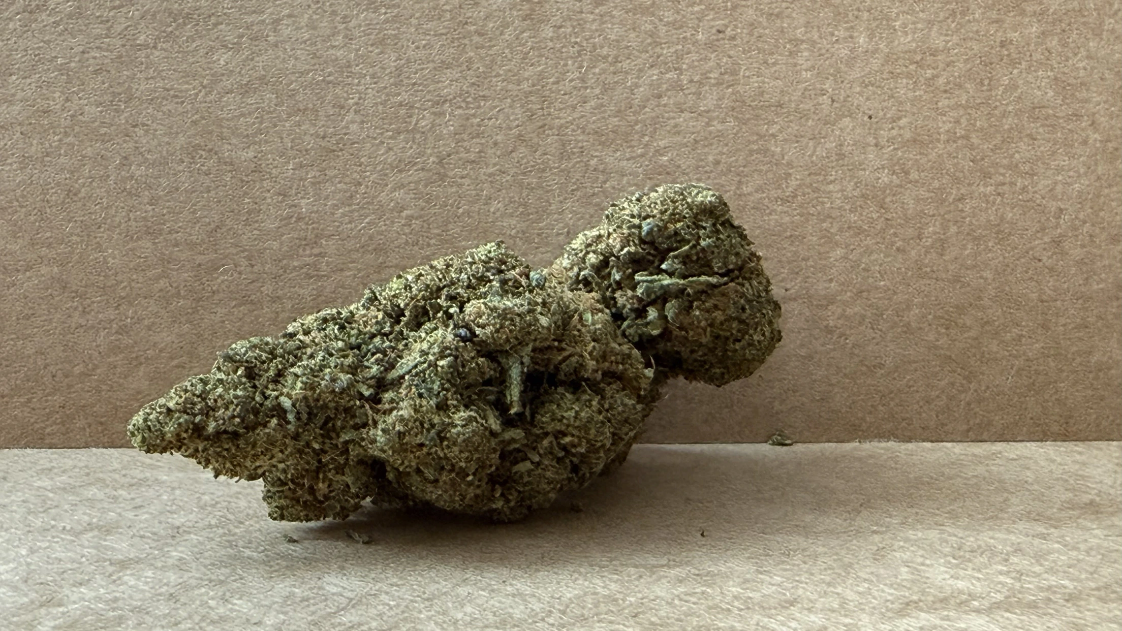 Orange Bud - Fleur Boostée